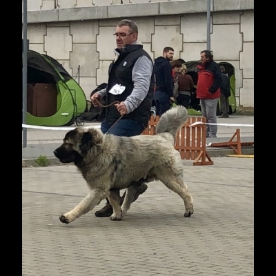 IDS OPOLE'19 - MIMIR
